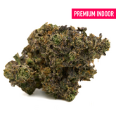 Dense Hash Burger Indoor THCa Flower cannabis bud with dark green purple hues and trichomes